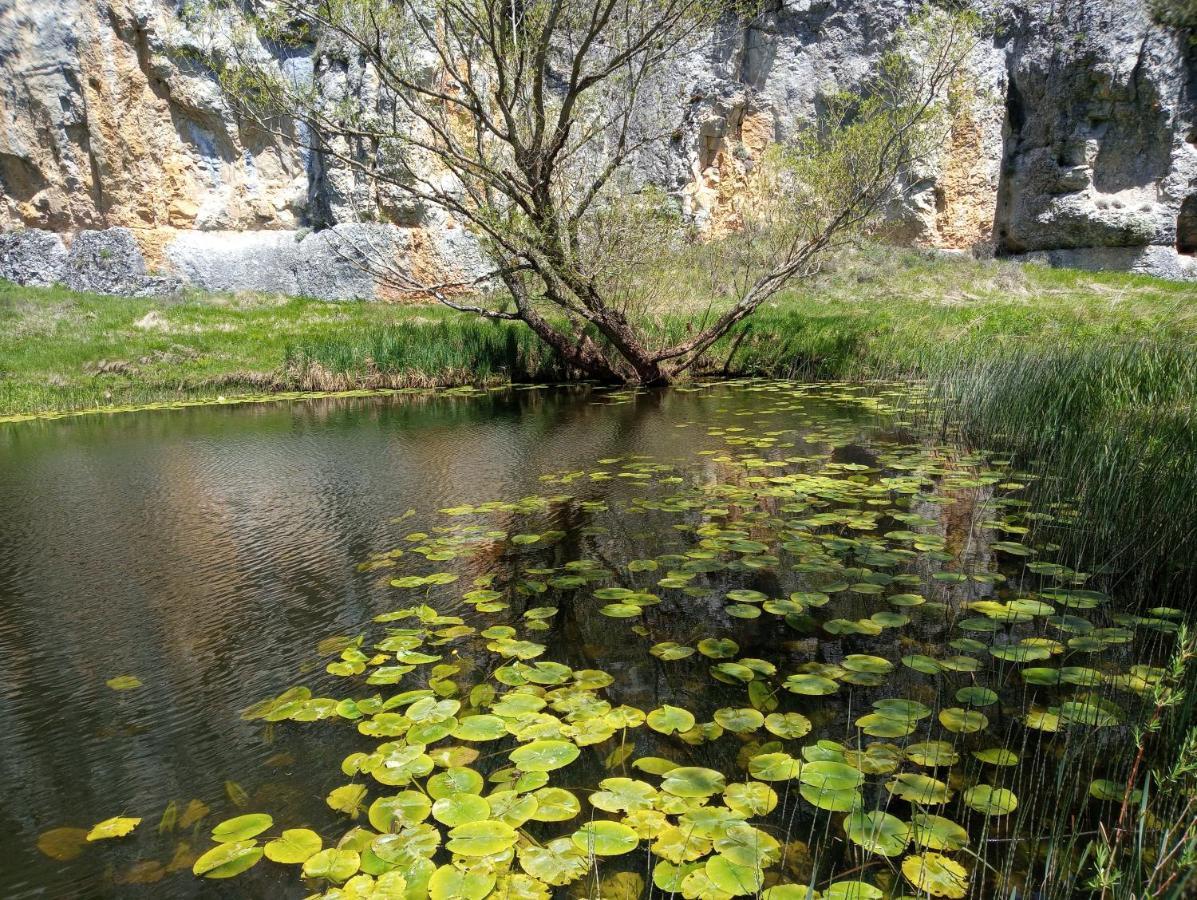 Affittacamere La Casona De El Royo Esterno foto